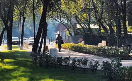 Тынышбаев көшесі жаңа кейіпке енді: тұрғындар үшін жайлы серуен орны ашылды