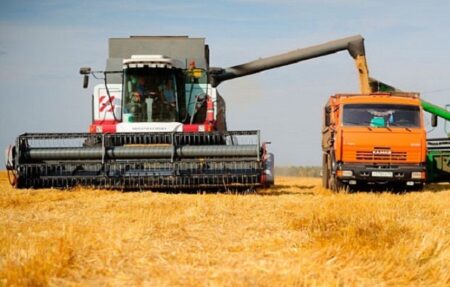 Елімізде астық жинау науқаны аяқталып, биылғы өнім 27 млн тоннаға жетті Жиын-терін