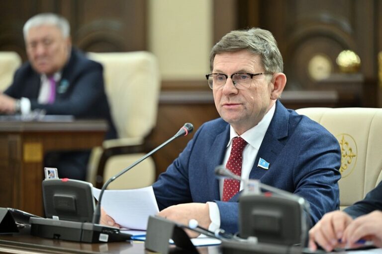 Депутат Пономарев дипфейктерге қарсы қос министрге сауал жолдады