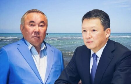 Жер дауы: Назарбаев пен Құлыбаев әулетінің иелгіндегі жер телімдері мемлекетке өтті