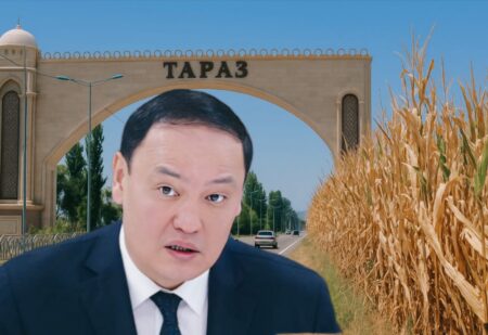 Жамбыл облысындағы фермерлердің