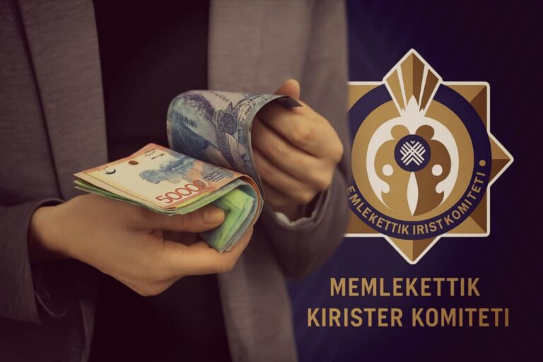 2025 жылға жоспарланған салық тексерісі түгел тоқтады 2025 жылға жоспарланған