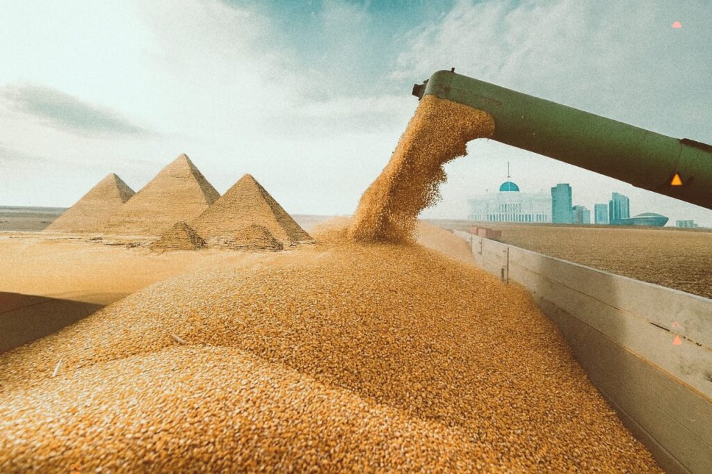 Фараонның қамбасы: Египет қазақ бидайына қайта оралды