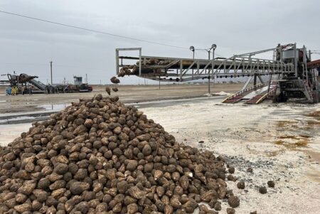 Ақсу мен Көксу зауыттары 528 мың тонна өнім өңдеуге кірісті