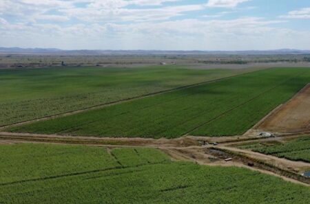 Жер мемлекетке өтуде: Абай облысы жоспарды мерзімінен бұрын орындауға жақындады