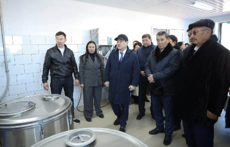 Нұрдәулет Қилыбай Қазақстанда алғаш рет түйе сүтін автоматтандырылған әдіспен сауатын цехтың жұмысымен танысты