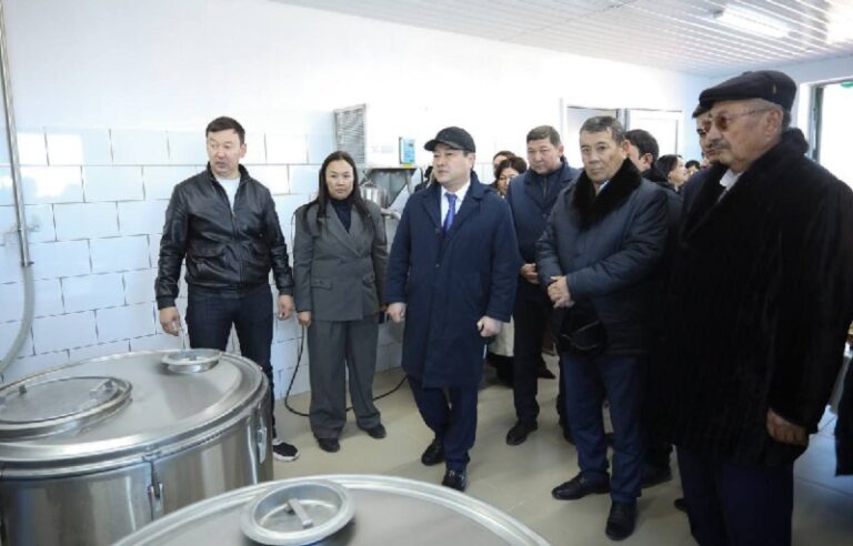 Нұрдәулет Қилыбай Қазақстанда алғаш рет түйе сүтін автоматтандырылған әдіспен сауатын цехтың жұмысымен танысты