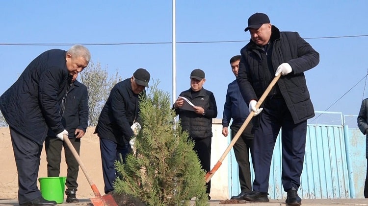 Абай ауылында 25 мың көшет отырғызу акциясы өтті