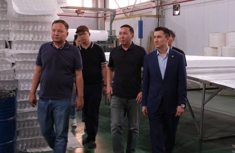 Алматы индустриялық аймағындағы жобалар қарқыны бақылауға алынды