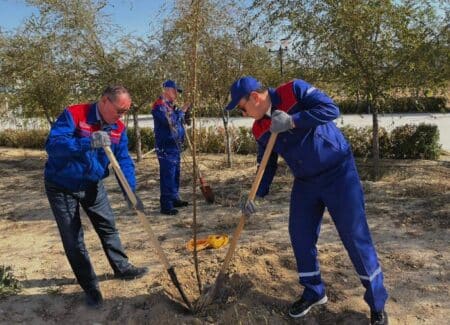 Ақтауда Президент паркіне 100 түп ағаш егілді