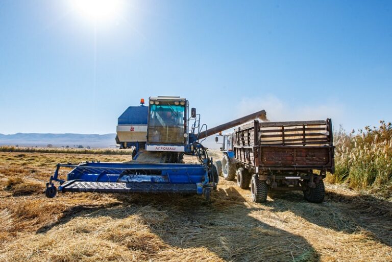 Жетісудағы ауыл шаруашылығының жаңа кезеңі: өнім еселеп өсіп, жер қайта айналымға енді