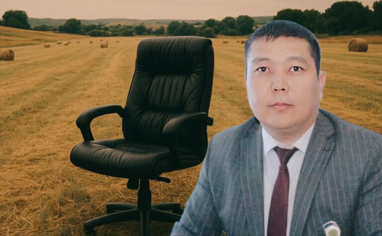 Шенеуніктің шөп шабу схемасы: 300 мың теңге пара алған жер бөлімінің басшысы қалай ұсталды