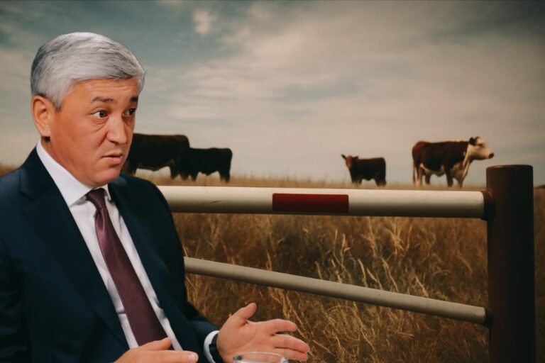 Нұрадағы «жылқы жаназасы»: Қарағанды шаруалары мал жаятын жер таппай жүр