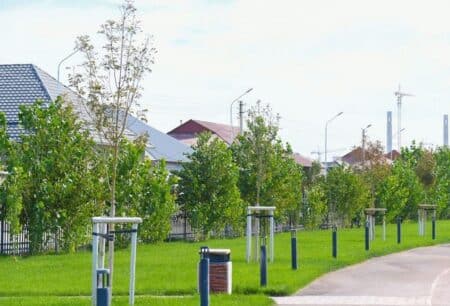 Түркістан өңірі жасыл аймаққа айналуда: биыл 510 мыңнан астам көшет егу көзделген Жасыл желек