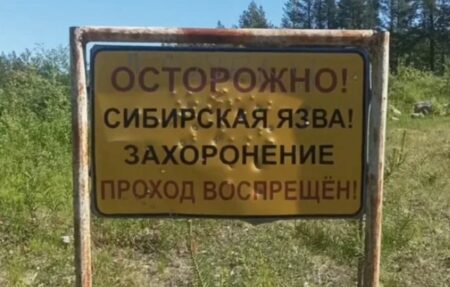 сібір жарасы