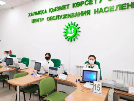 «Азаматтарға арналған үкімет» бірқатар қызмет түрін