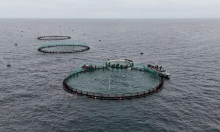 Маңғыстауда Орталық Азиядағы алғашқы теңіз аквашаруашылық жобасы іске асты аквашаруашылық жобасы