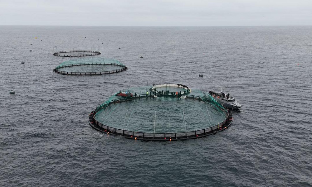 аквашаруашылық жобасы