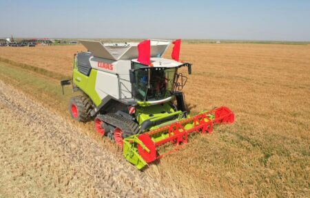 Комбайн егіс даласы