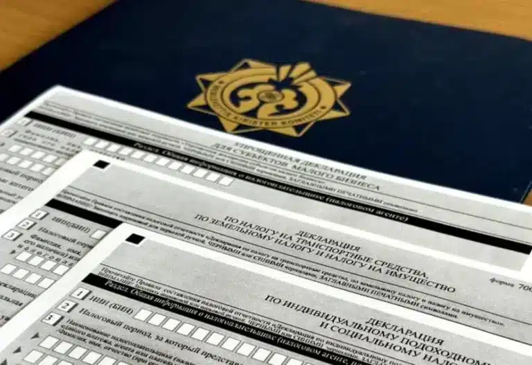 салық декларациясын толтыру