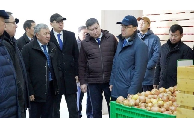 Түркістанда 150 мың тонна жүгеріні терең өңдейтін «Казкрахмал» кешені салынады сенаторлар келді