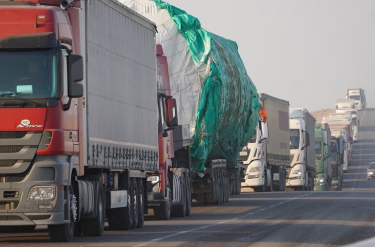 Кедендегі ашықтық: кезек электронды жүйемен тегін реттелмек транзит Түркістан облысы