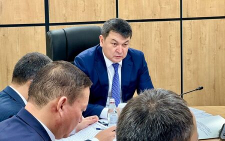 Түркістан облысында субсидия алған 10 310 шаруа қожалығының салықтық міндеттемелерін тексерілді Түркістан Нұрболат Тұрашбеков