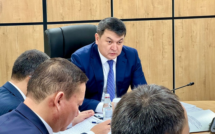 Түркістан облысында субсидия алған 10 310 шаруа қожалығының салықтық міндеттемелерін тексерілді Түркістан Нұрболат Тұрашбеков