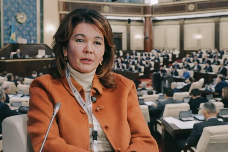 Шаяхметованың шырылы: Депутаттар дүрлігіп, банктер дірілдеп отыр Банктер туралы жаңа заңнан