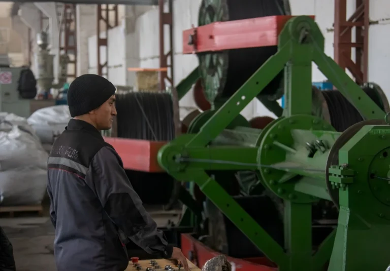 Жетісу облысы экономикасы