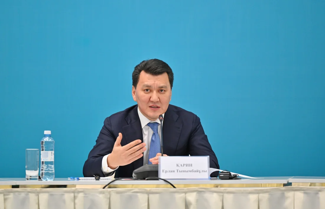 Ақорда реформа Ерлан Қарин