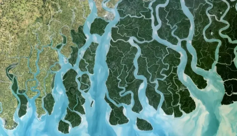 өзен арналарының тармдалуы