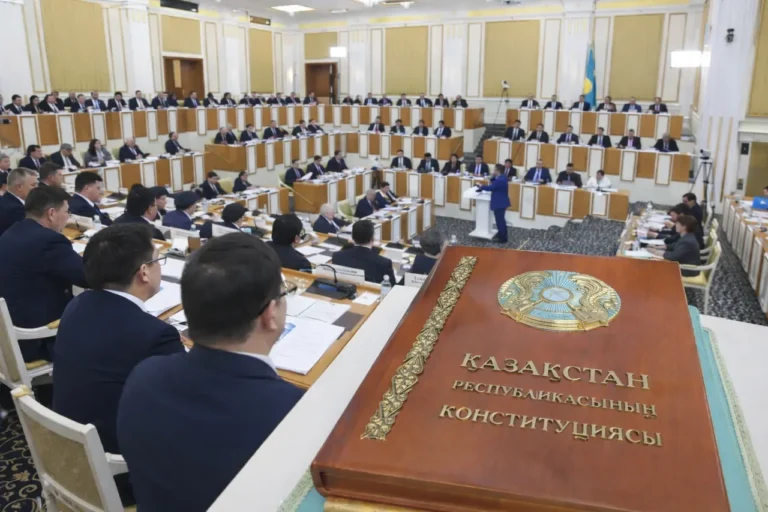 Жаңа Конституция білім мен цифрландырудың маңызын арттырады — сарапшы Жаңа Конституция