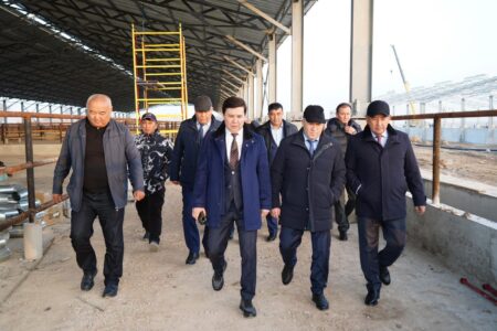Түркістан өңіріндегі тірек жобалар: Депутат сапары не көрсетті Депутат Темір Қырықбаев