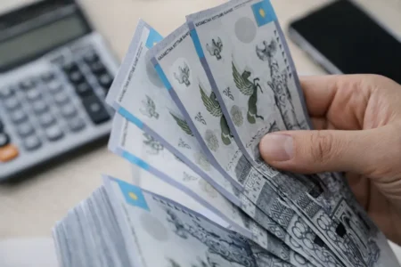 Табысқа қарай салық: Қазақстанның әділетті формуласы жеңілдетілген режим