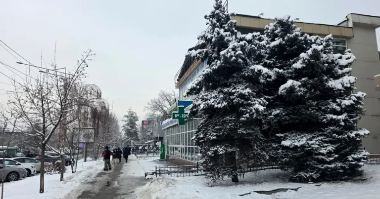 Тұман мен көктайғақ: Синоптиктер жұртты сақ болуға шақырады Алматы жел ауа райы