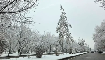 Солтүстік суық құрсауында: Оңтүстікте көктем лебі сезілді Алматыға қар жауды