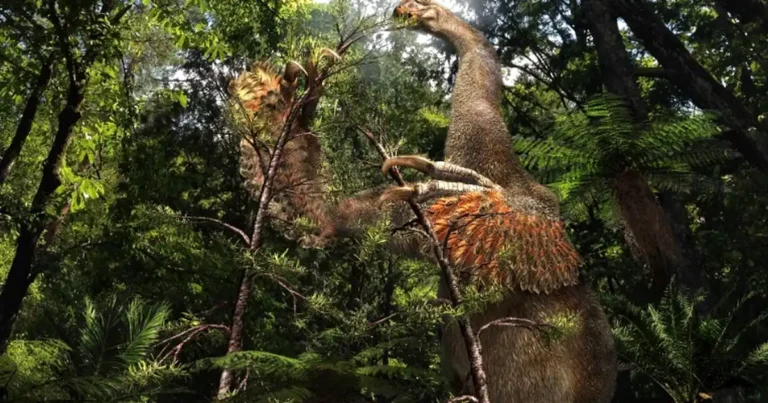 Duonychus динозавр