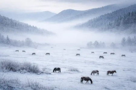 ауа райы аяз боран
