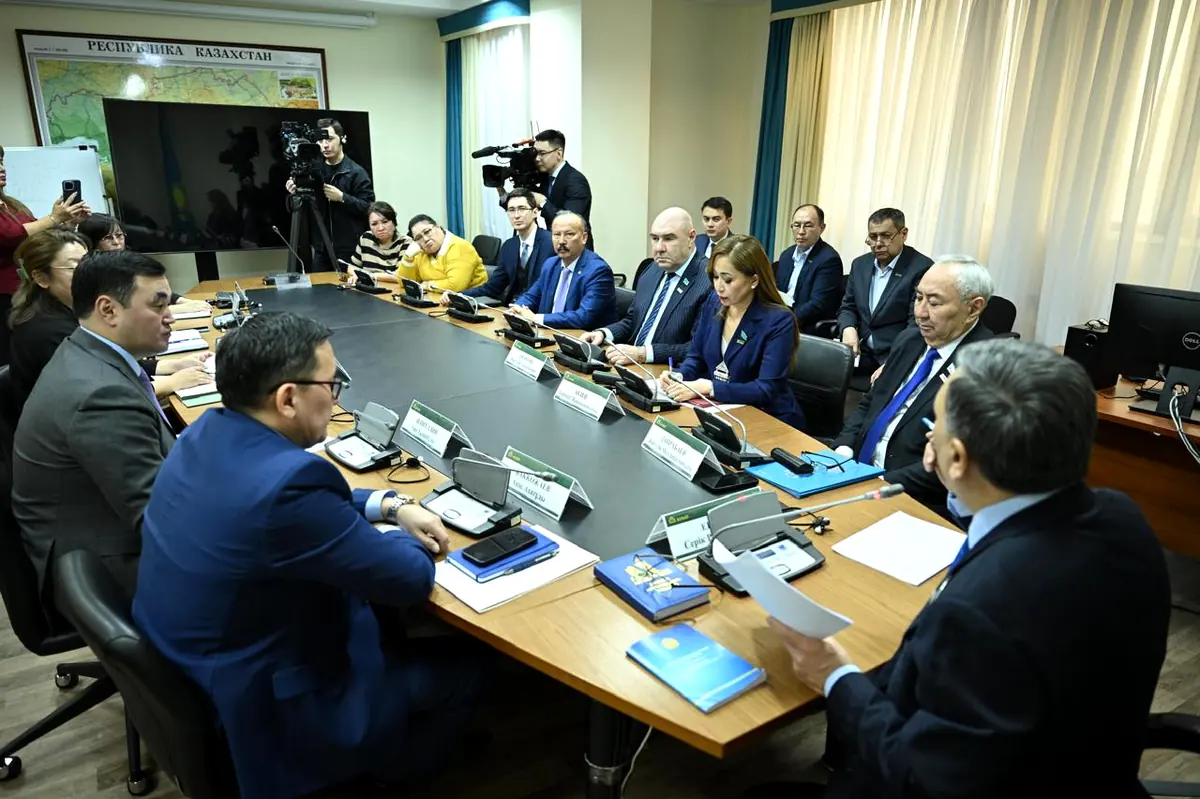 Ауыл партиясы кеңес