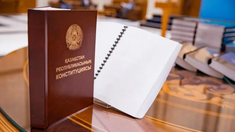 конституция жобасы