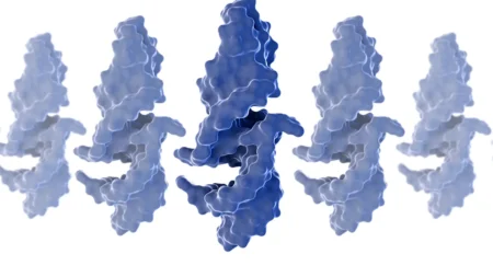 Өмірдің құпия коды табылды: РНҚ-ның таңғажайып қабілеті ашылды молекула