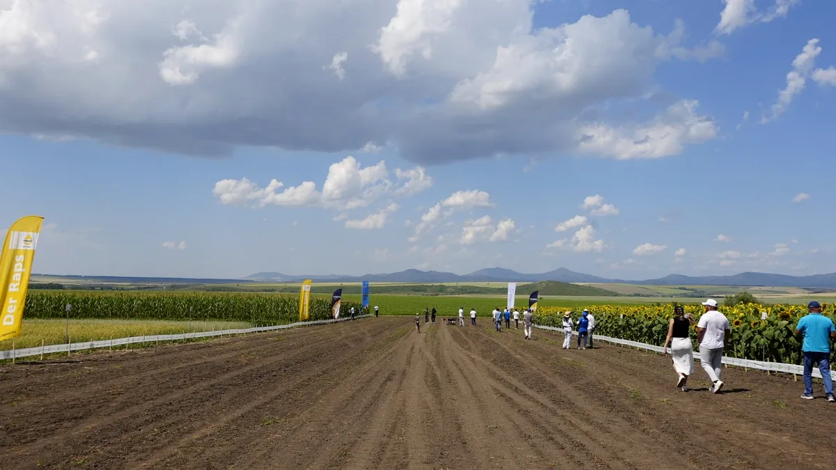 егістік