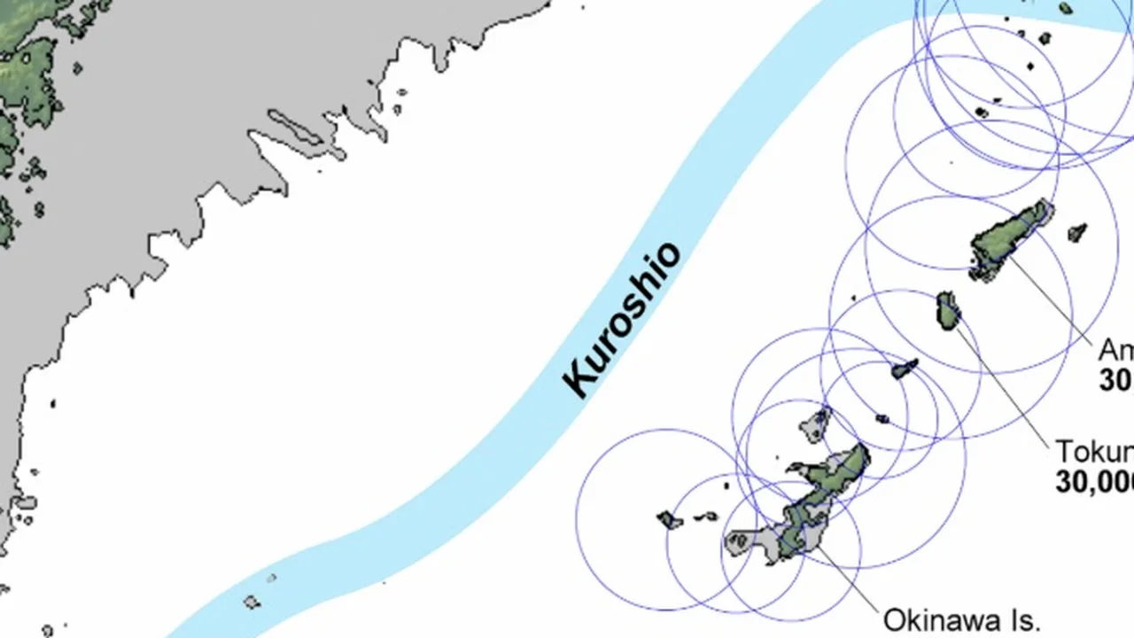Карта