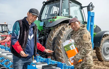 Жетісуда қант қызылшасының жаңа сорттары егіледі Қант қызылшасы
