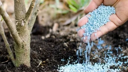 топырақты құнарландыру