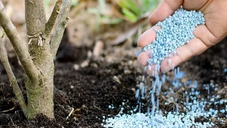 топырақты құнарландыру