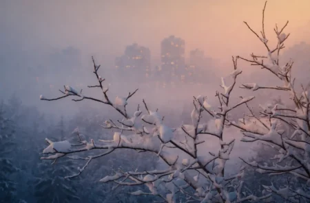 Солтүстікте аяз, оңтүстікте жылымық: Қазақстанның ауа райы екіге жарылды Тұман қар