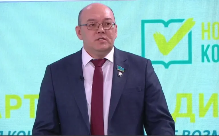 жаңа конституция