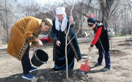 ағаш егу